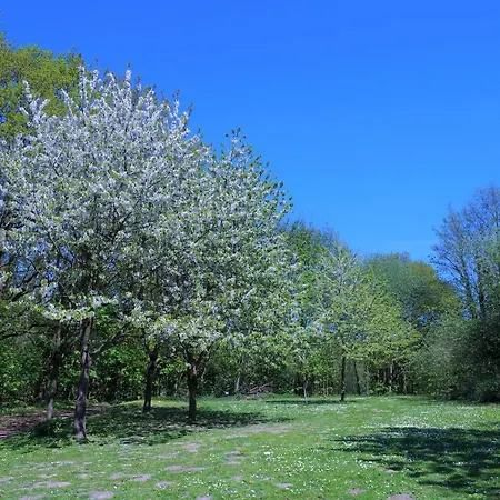 Apartman Panoramic B01-2