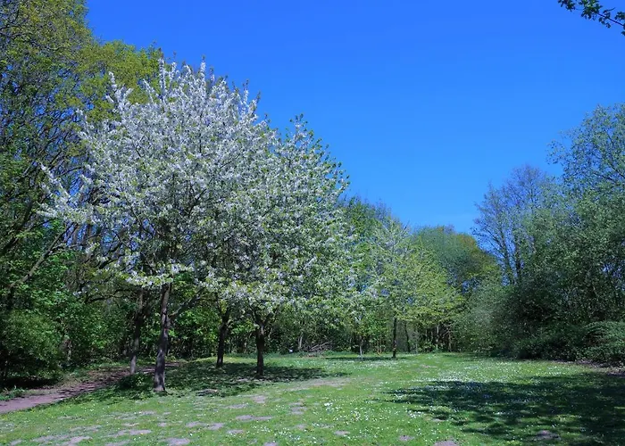 Appartamento Panoramic B01-2